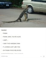 funny-meme-of-two-lizards-hugging-in-the-street-talking-about-how-he-thought-he-was-a-handbag.jpg