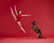 Dancers-Dogs-playfully-share-the-spotlight-in-a-new-photography-book-5dbb3f5570718__880.jpg