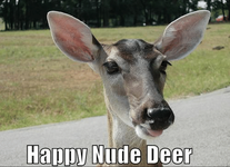 happy-nude-deer-icanhascheezeurger-oom-happy-nude-deer-cheezburger-50594183~2.png