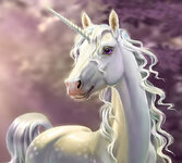 Unicorn-feature-hero-1.jpg