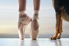 shall-we-dance-on-pointe-laura-fasulo.jpg