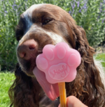 DogIceCream06.png