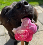 DogIceCream07.png