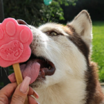 DogIceCream_B (4).png