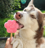 DogIceCream_B (5).png