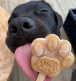 DogIceCream_B (6).png