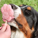 DogIceCream_B (7).png