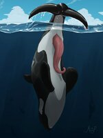 Orca.jpg