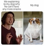 dog-meme-1-e1585327102696.jpg