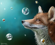 gif-fox-cute-869690.jpeg