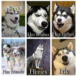 husky-meme7-1024x1009.jpg