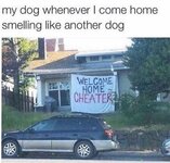 dog cheater.jpg