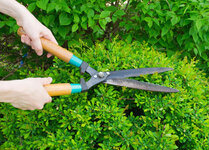 hedge-cutting-shears.jpg