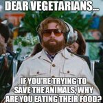 vegetarian-meme-about-eating-animal-food.jpeg