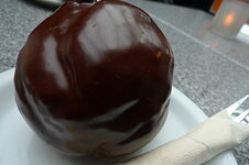 Bossche_bol_1.jpg