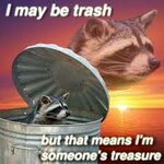 raccoontreasure.jpg