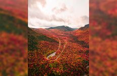 Article-Image-DronePhotos-The-Leaves-are-Turning.jpeg