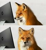 Foxcomputerlook.jpg