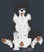 Lshencollie.png