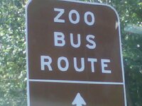 zoobus.jpg