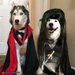 dracula_and_elvira_dogs.jpg