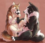 yiff--yiff-feral-3336153.png