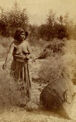 Portrait of Wu-nav-ai, a Moa-Pa-Riat Paiute Indian woman, gathering seeds….jpg