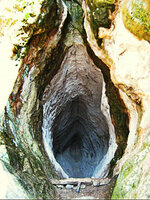 Womb_Cave_TanKaya_BG.jpg