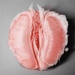 grapefruit-vagina.jpg