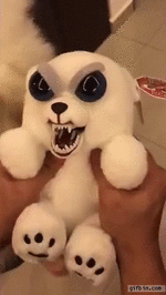 feisty-pets-plush-toy-vs-real-dog.gif