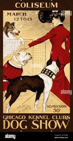 an-old-advertising-poster-for-the-chicago-kennel-clubs-dog-show-2F7T0PM.jpg