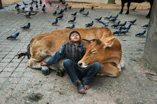 5dce5d28daea6-photography-animals-steve-mccurry-coverimage-3442444418.jpg