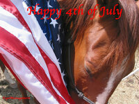 Happy-4th-July-american-flag-horse-EM-2400.jpg