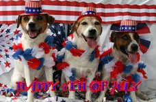 4th-of-July-Kats-Dogs-1024x676.jpg