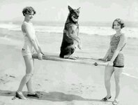 1928, Rinty with Myrna Loy and Leila Hyams.jpg