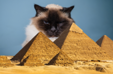 Egypt-Cat-cover-1.png