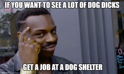 job joke.jpg