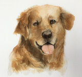 watercolorpaintingofadog.jpg