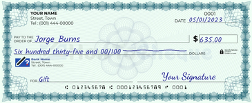 635-dollar-check.png