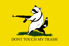 libertarian_raccoon_flag_by_liberancap_dhf25b0-pre.png