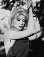 Belle De Jour Catherine Deneuve 1967 Photo Print - 16 x 20.jpg