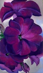 Georgia O’ Keeffe _Petunias 1925_____.jpg