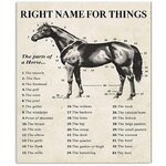 Right Name For Things The Parts Of A Horse For Horse Lovers Vertical Poster.jpg