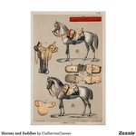 Horses and Saddles Poster _ Zazzle_com.jpg