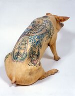 Tatoo Pig I.jpg