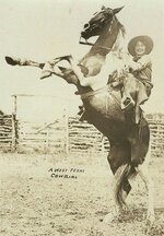 Texas cowgirl, circa 1916.jpg