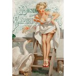 Pinup Woman with Goose A4 Rice Decoupage Paper.jpg