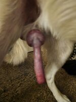 IMG_20250416_130712_062.jpg