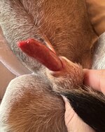 IMG_0194.jpeg