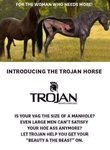 trojanhorse.jpg